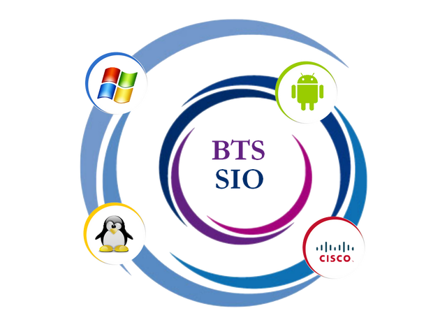 Mon année de BTS SIO
